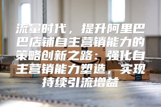 流量时代，提升阿里巴巴店铺自主营销能力的策略创新之路：强化自主营销能力塑造，实现持续引流增益