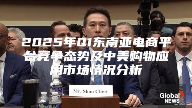 2025年Q1东南亚电商平台竞争态势及中美购物应用市场情况分析