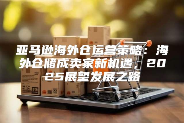 亚马逊海外仓运营策略：海外仓储成卖家新机遇，2025展望发展之路