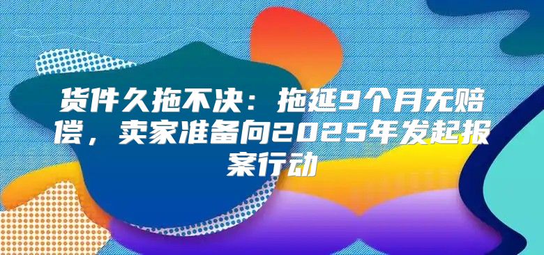 货件久拖不决：拖延9个月无赔偿，卖家准备向2025年发起报案行动