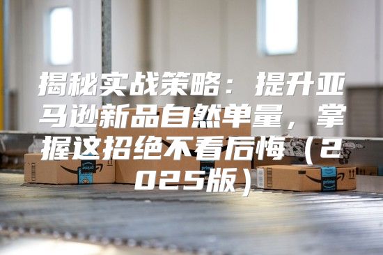 揭秘实战策略：提升亚马逊新品自然单量，掌握这招绝不看后悔2025版