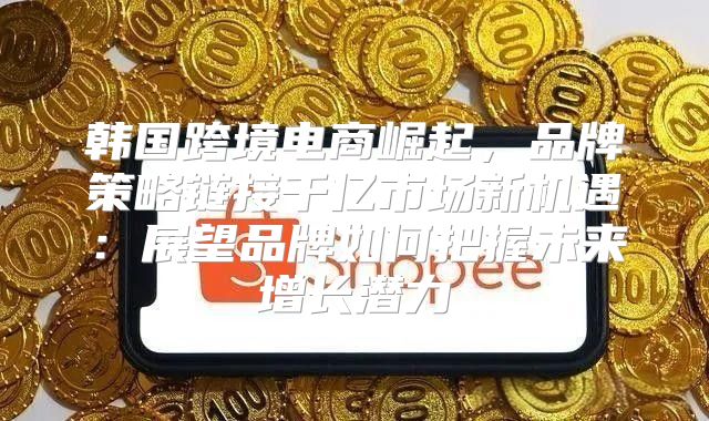 韩国跨境电商崛起，品牌策略链接千亿市场新机遇：展望品牌如何把握未来增长潜力
