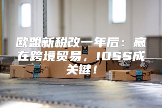 欧盟新税改一年后：赢在跨境贸易，IOSS成关键！