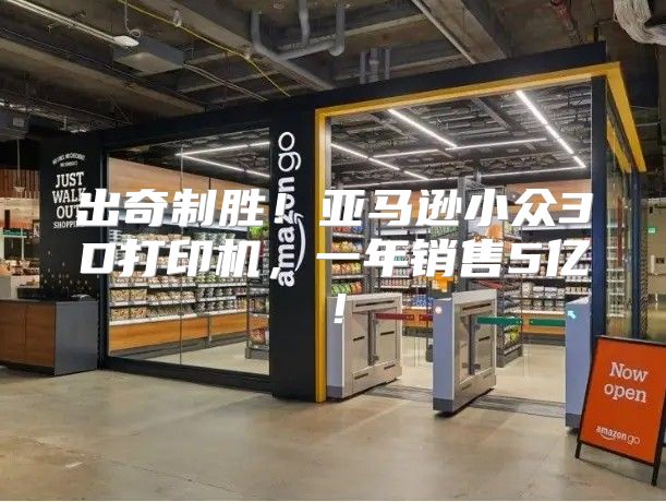出奇制胜！亚马逊小众3D打印机，一年销售5亿！