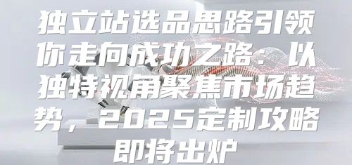 独立站选品思路引领你走向成功之路：以独特视角聚焦市场趋势，2025定制攻略即将出炉
