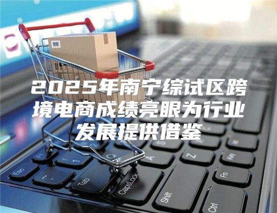 2025年南宁综试区跨境电商成绩亮眼为行业发展提供借鉴