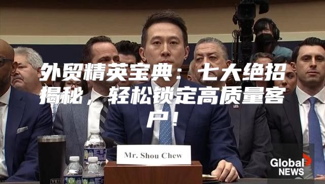 外贸精英宝典：七大绝招揭秘，轻松锁定高质量客户！