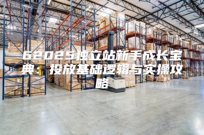 62025独立站新手成长宝典：投放基础逻辑与实操攻略