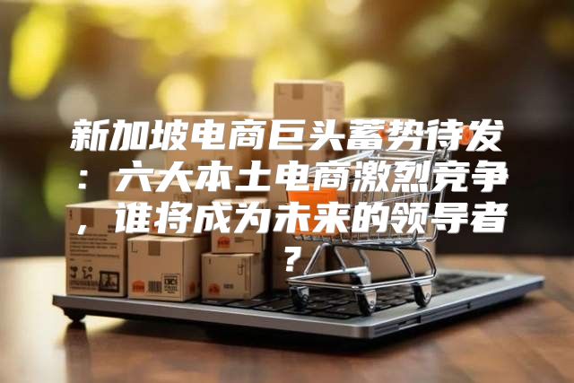 新加坡电商巨头蓄势待发：六大本土电商激烈竞争，谁将成为未来的领导者？