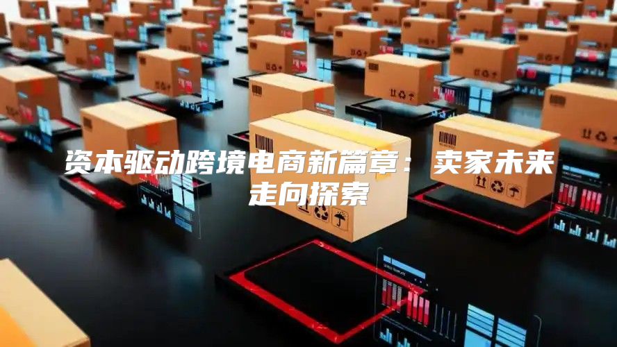 资本驱动跨境电商新篇章：卖家未来走向探索