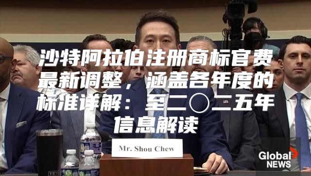 沙特阿拉伯注册商标官费最新调整，涵盖各年度的标准详解：至二〇二五年信息解读