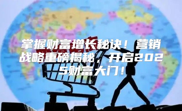 掌握财富增长秘诀！营销战略重磅揭秘，开启2025财富大门！