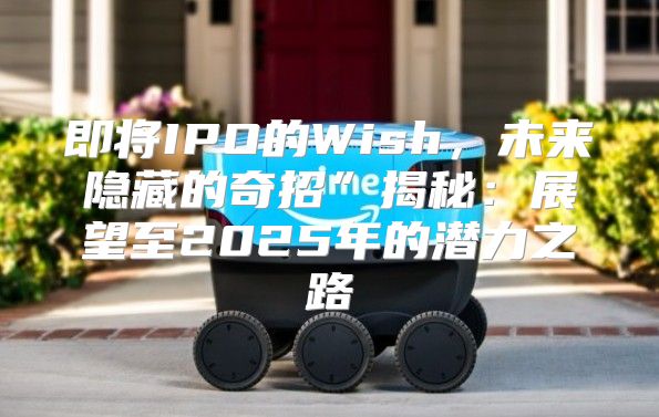 即将IPO的Wish，未来隐藏的奇招”揭秘：展望至2025年的潜力之路