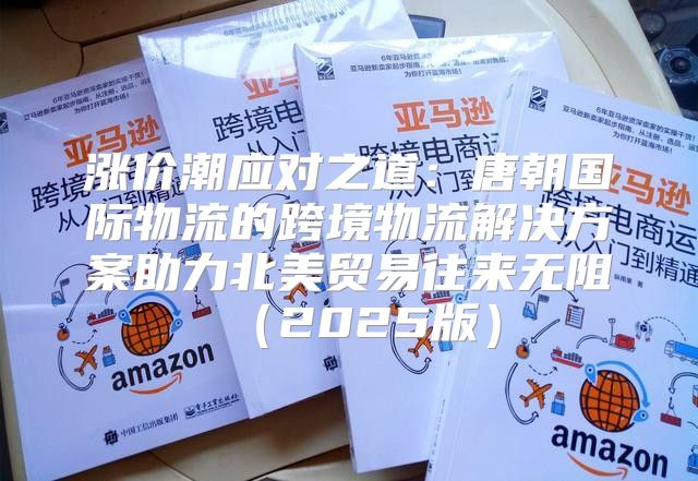 涨价潮应对之道：唐朝国际物流的跨境物流解决方案助力北美贸易往来无阻2025版