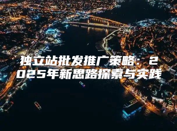 独立站批发推广策略：2025年新思路探索与实践