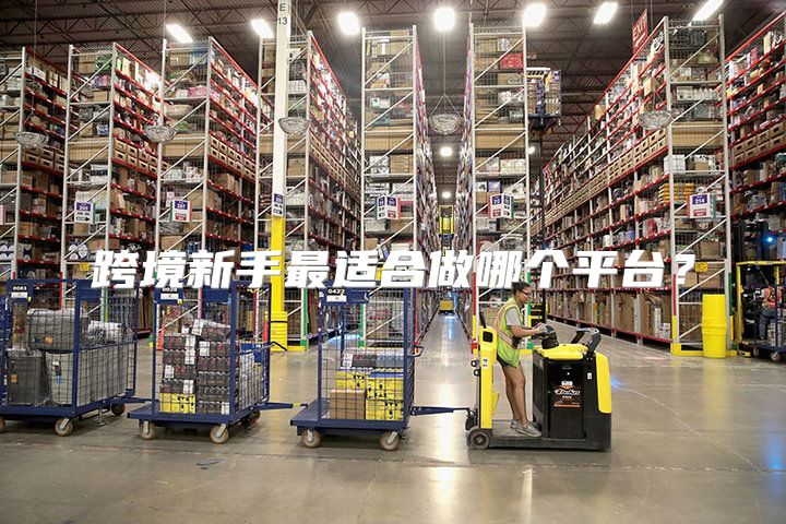跨境新手最适合做哪个平台？