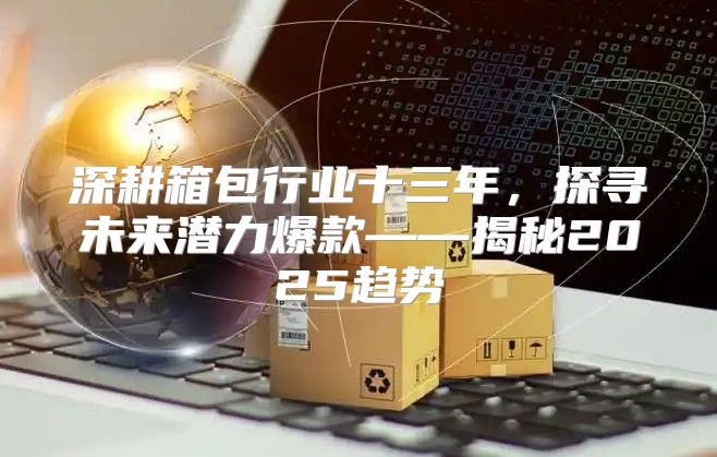 深耕箱包行业十三年，探寻未来潜力爆款——揭秘2025趋势