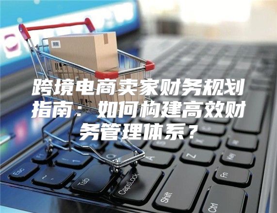 跨境电商卖家财务规划指南：如何构建高效财务管理体系？