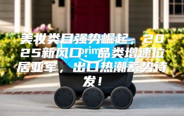 美妆类目强势崛起，2025新风口：品类增速位居亚军，出口热潮蓄势待发！