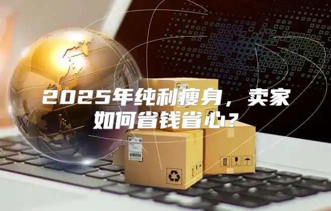 2025年纯利瘦身，卖家如何省钱省心？
