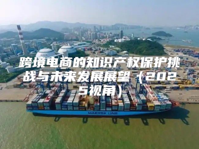 跨境电商的知识产权保护挑战与未来发展展望2025视角