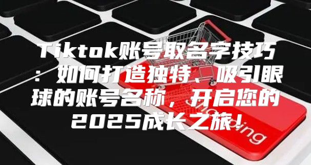 Tiktok账号取名字技巧：如何打造独特、吸引眼球的账号名称，开启您的2025成长之旅！