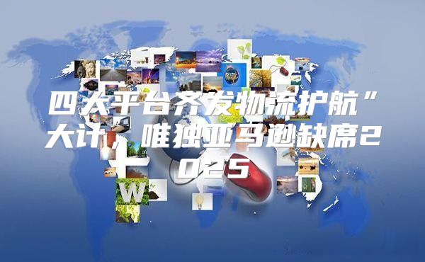 四大平台齐发物流护航”大计，唯独亚马逊缺席2025