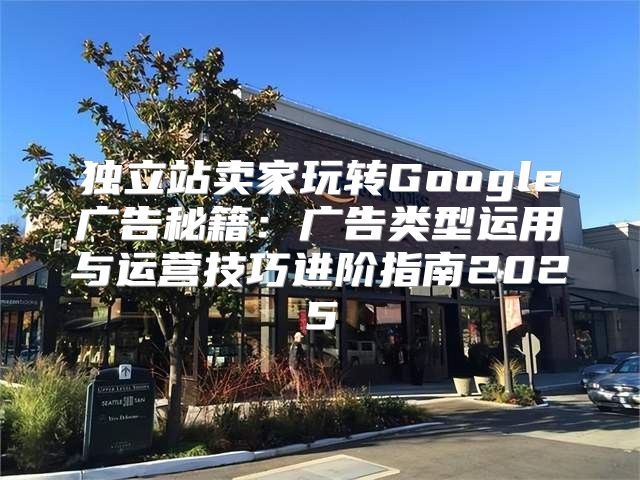 独立站卖家玩转Google广告秘籍：广告类型运用与运营技巧进阶指南2025