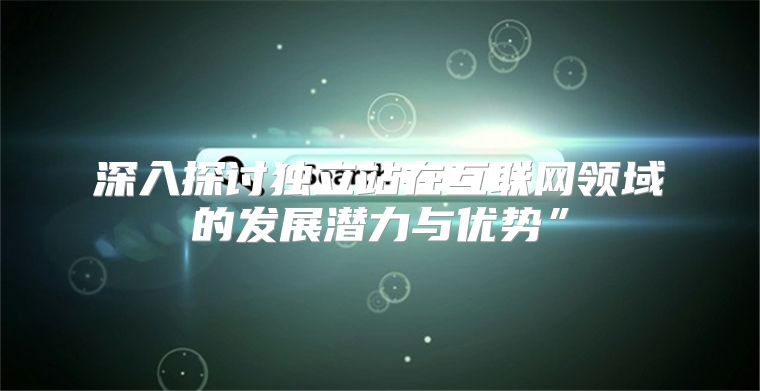深入探讨独立站在互联网领域的发展潜力与优势”