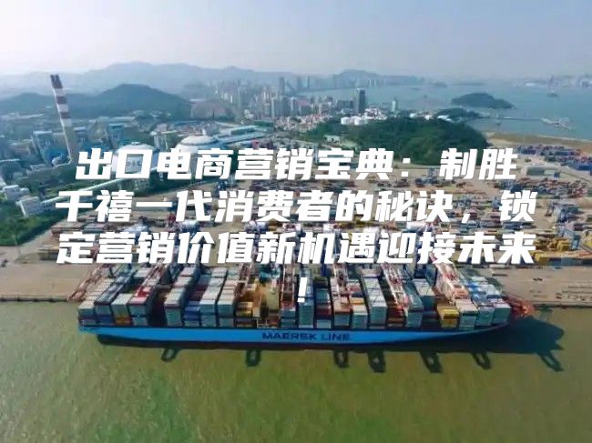 出口电商营销宝典：制胜千禧一代消费者的秘诀，锁定营销价值新机遇迎接未来！
