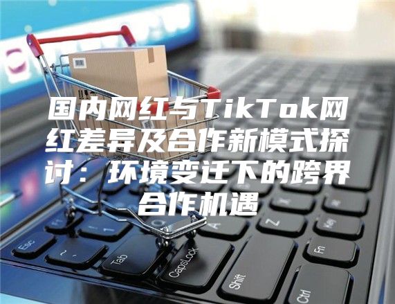 国内网红与TikTok网红差异及合作新模式探讨：环境变迁下的跨界合作机遇
