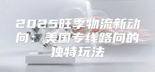 2025旺季物流新动向：美国专线路向的独特玩法