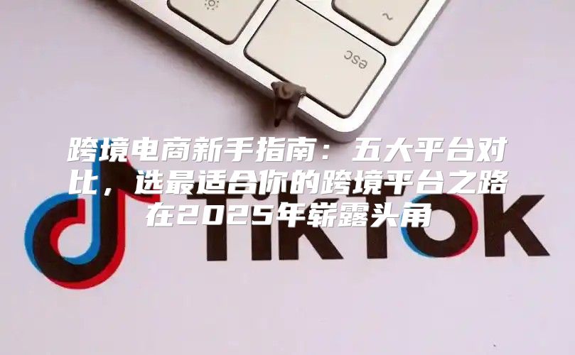跨境电商新手指南：五大平台对比，选最适合你的跨境平台之路在2025年崭露头角