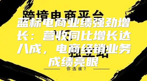 蓝标电商业绩强劲增长：营收同比增长达八成，电商经销业务成绩亮眼