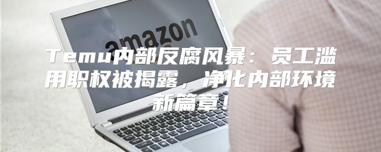 Temu内部反腐风暴：员工滥用职权被揭露，净化内部环境新篇章！