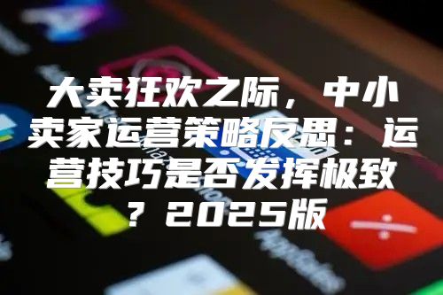 大卖狂欢之际，中小卖家运营策略反思：运营技巧是否发挥极致？2025版