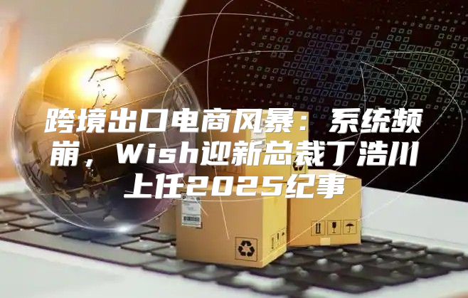 跨境出口电商风暴：系统频崩，Wish迎新总裁丁浩川上任2025纪事