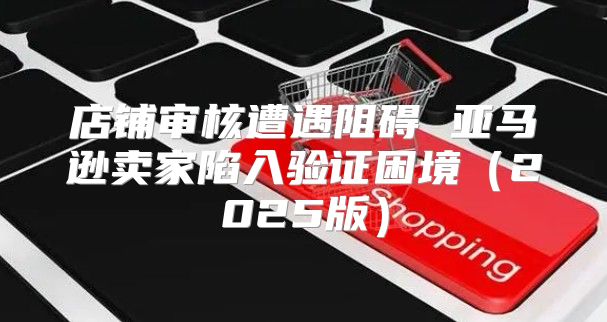 店铺审核遭遇阻碍 亚马逊卖家陷入验证困境2025版