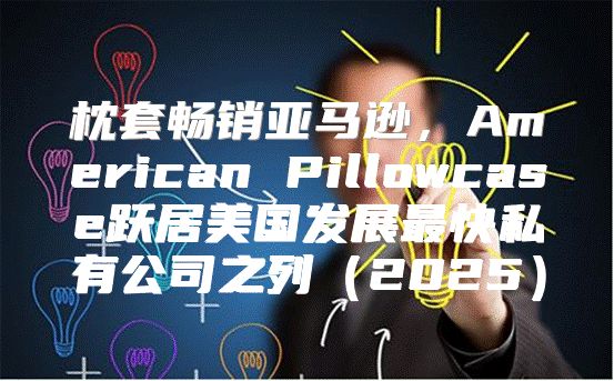 枕套畅销亚马逊，American Pillowcase跃居美国发展最快私有公司之列2025