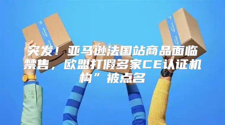 突发！亚马逊法国站商品面临禁售，欧盟打假多家CE认证机构”被点名