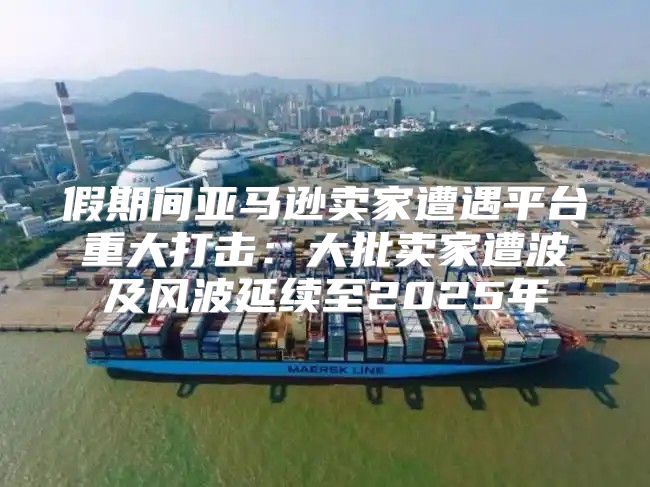 假期间亚马逊卖家遭遇平台重大打击：大批卖家遭波及风波延续至2025年