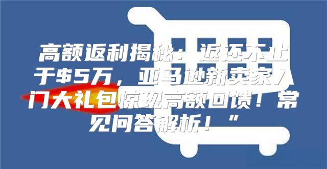 高额返利揭秘：返还不止于$5万，亚马逊新卖家入门大礼包惊现高额回馈！常见问答解析！”