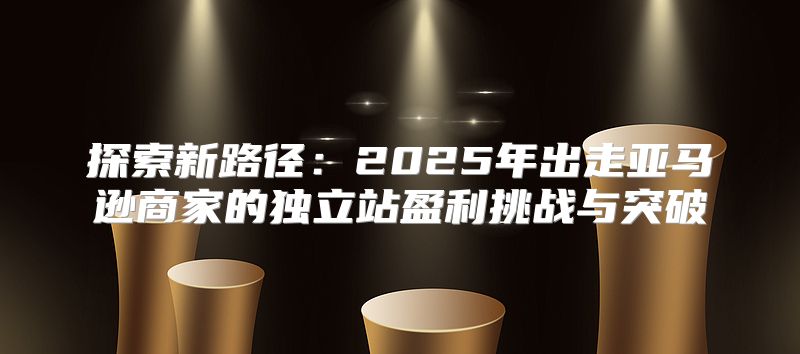 探索新路径：2025年出走亚马逊商家的独立站盈利挑战与突破