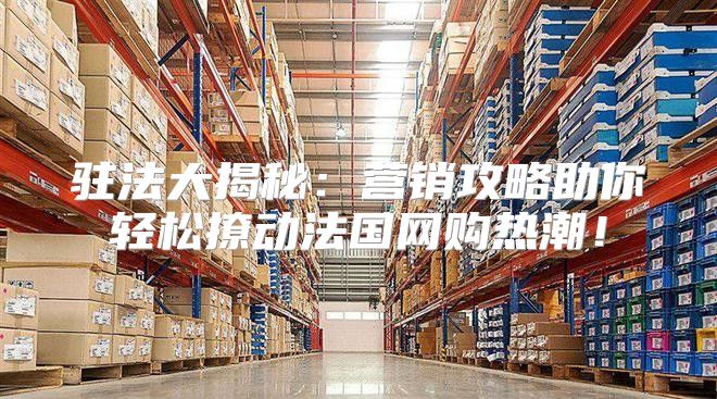 驻法大揭秘：营销攻略助你轻松撩动法国网购热潮！