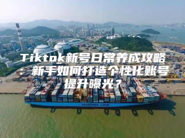 Tiktok新号日常养成攻略：新手如何打造个性化账号提升曝光？