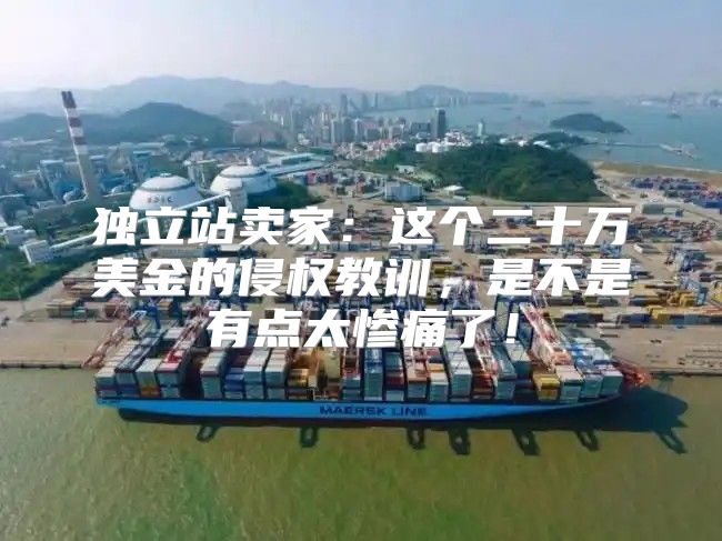 独立站卖家：这个二十万美金的侵权教训，是不是有点太惨痛了！