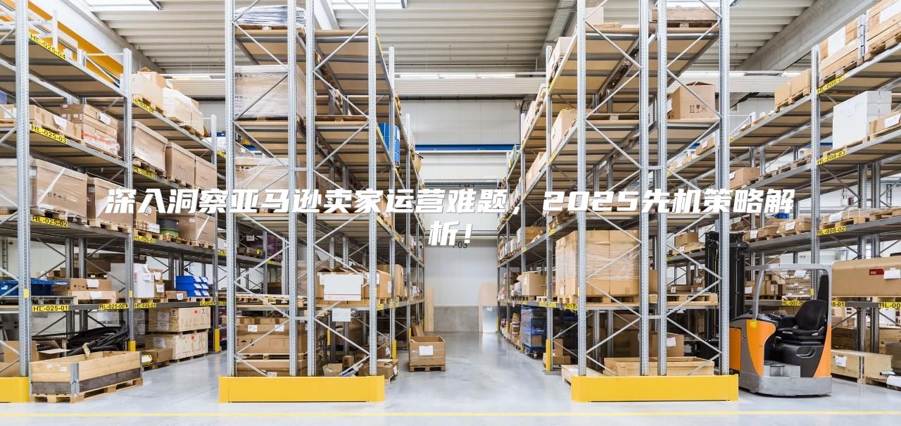 深入洞察亚马逊卖家运营难题，2025先机策略解析！