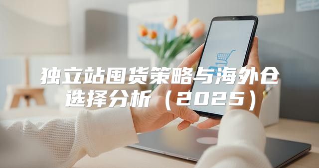 独立站囤货策略与海外仓选择分析2025