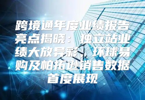 跨境通年度业绩报告亮点揭晓：独立站业绩大放异彩，环球易购及帕拓逊销售数据首度展现