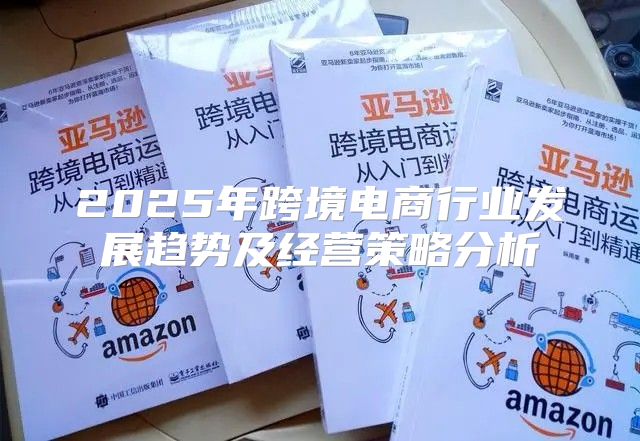 2025年跨境电商行业发展趋势及经营策略分析
